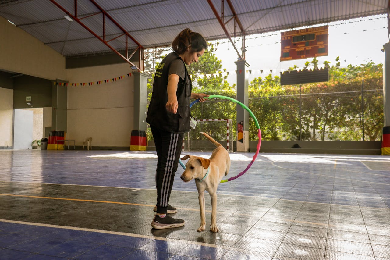 Woman training a dog with a hoop inside a gymnasium, promoting pet skills.